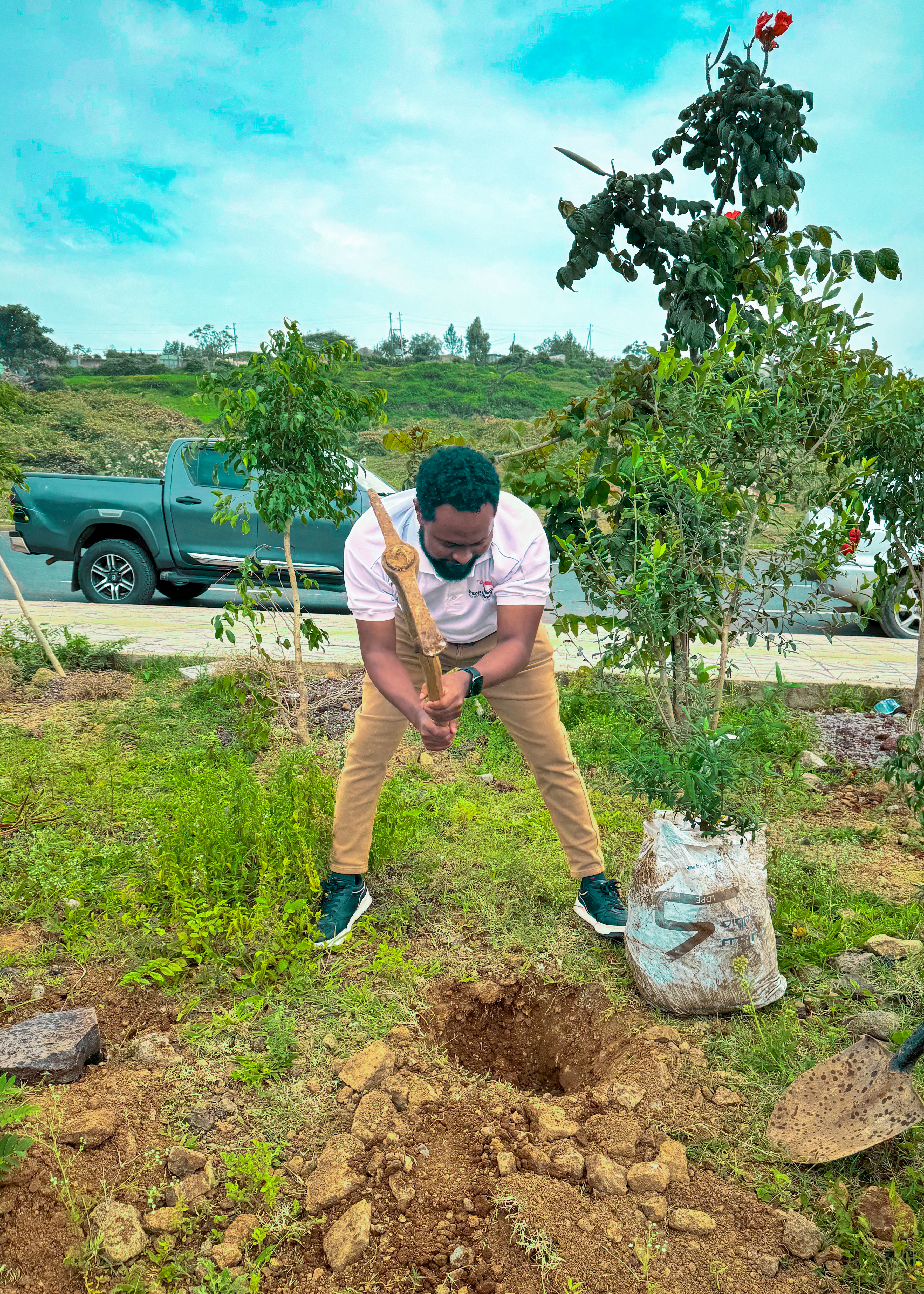 Green Legacy in Adama